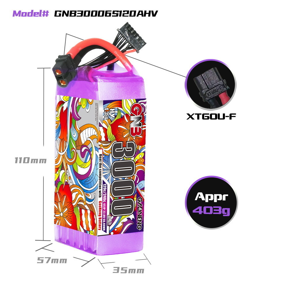 GNB リポバッテリー 6S 22.8V 3000mAh 5 - Lipo Battery 6S のレビューと価格
